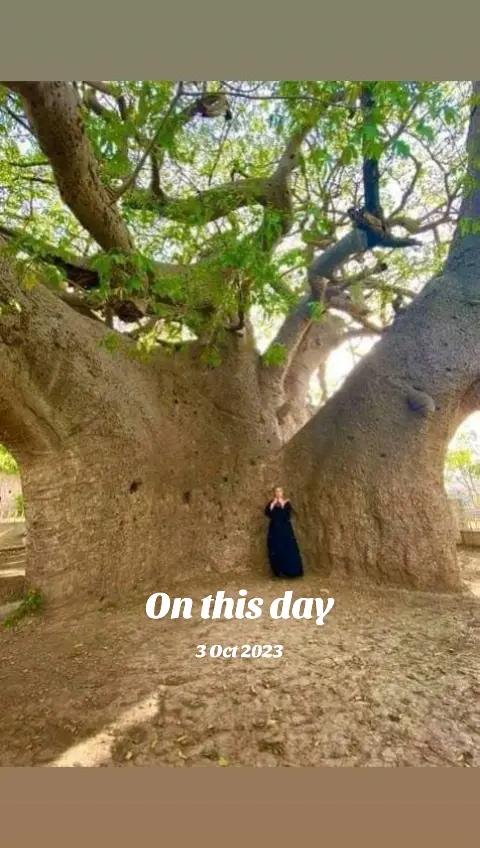 @💍🎆வானவில் 🏆ஏழு 🎆வண்ணம்💍