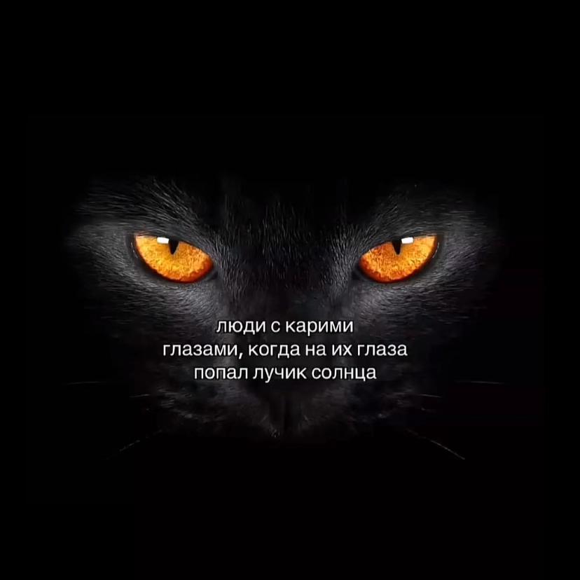 @Ксюнчик ྀི