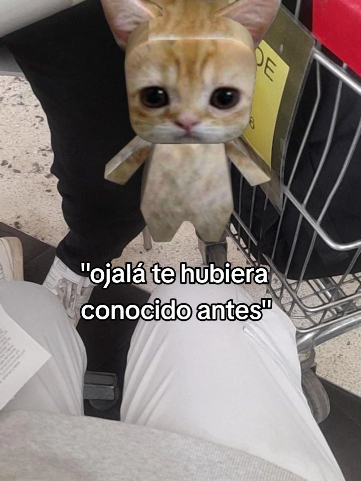 @𝙺𝚎̈𝚗 𝚒𝚍𝚔