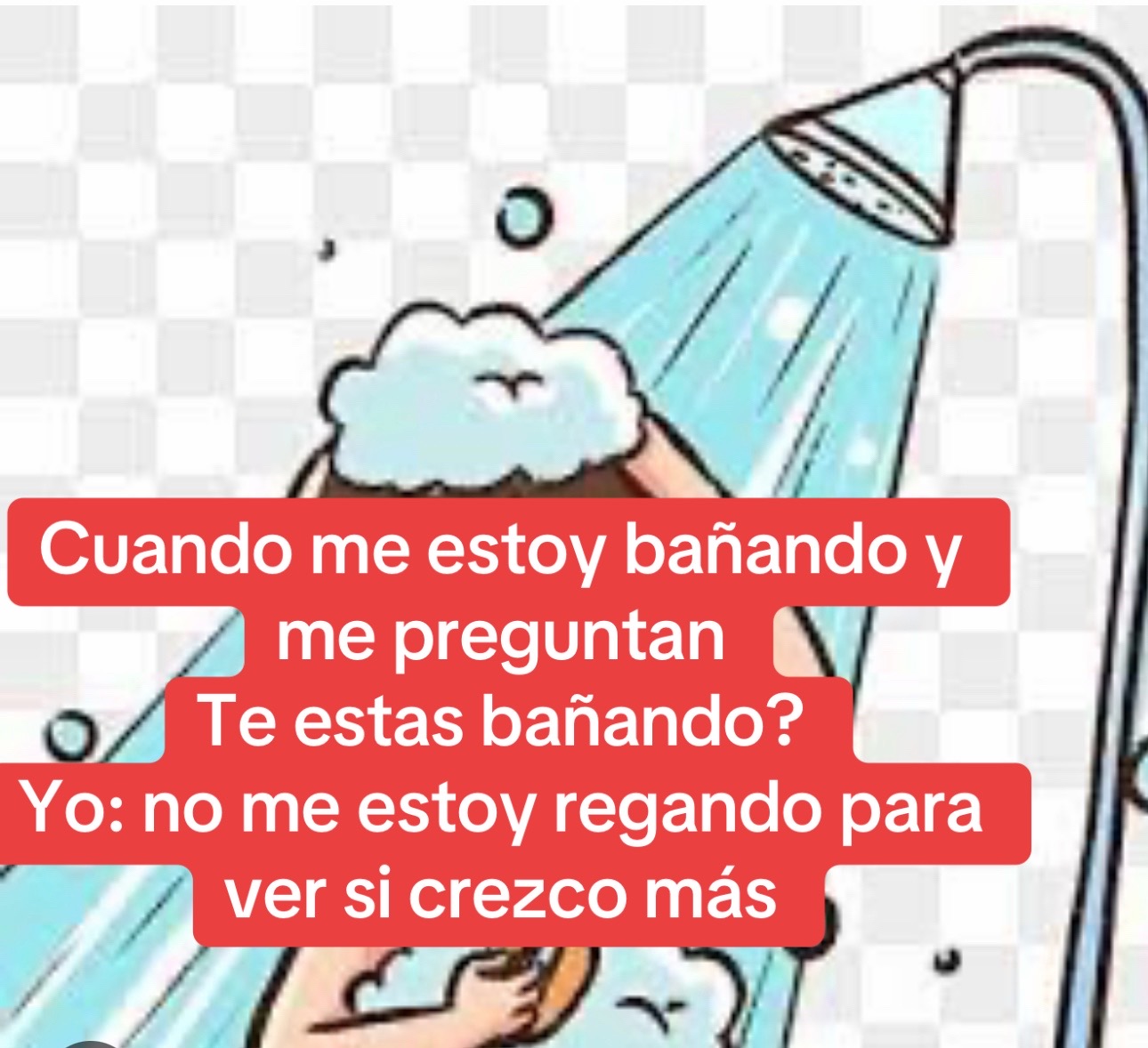 @danna16830