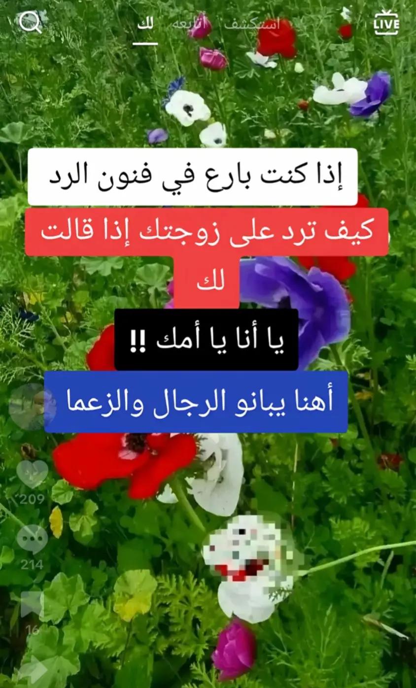 @❣️Nabil chaoui ❣️💯🇩🇿Dz