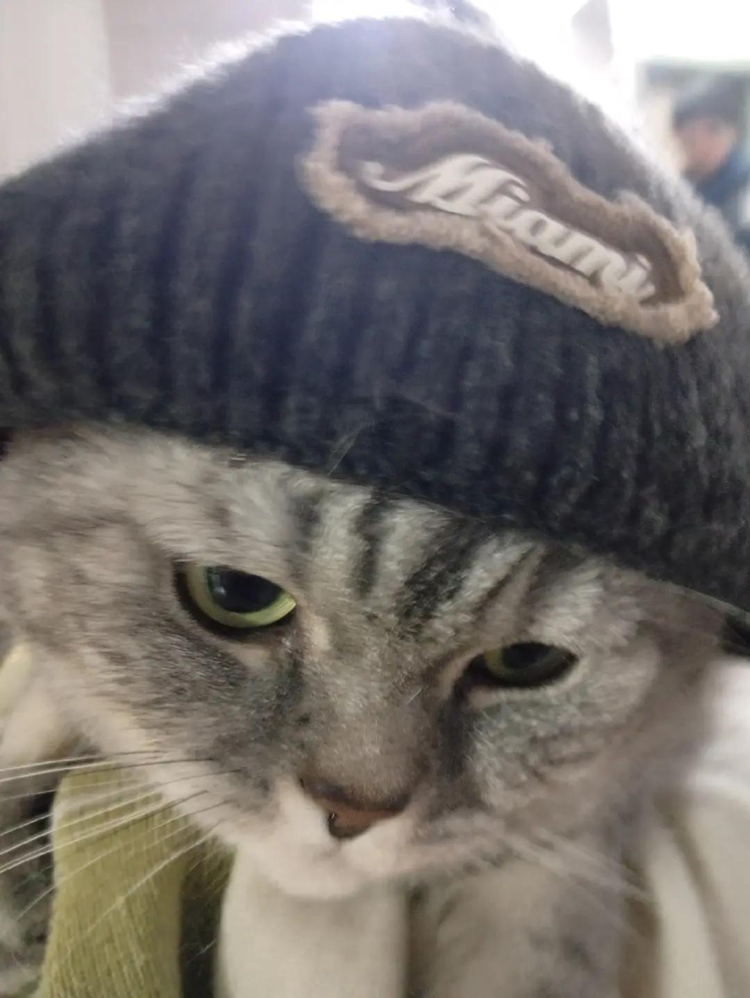 @Хонкантон