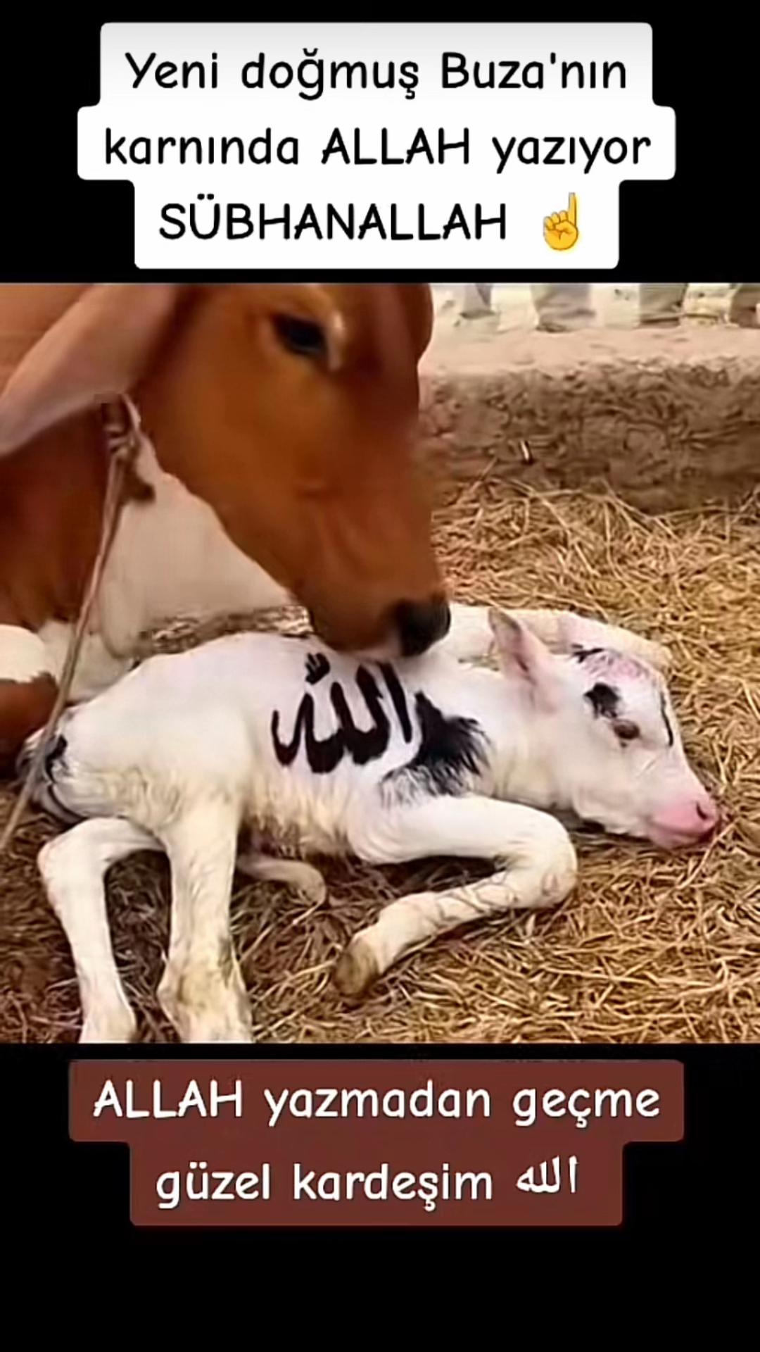 @꧁༺ ALLAH İ&Ccedil;İN ༻꧂