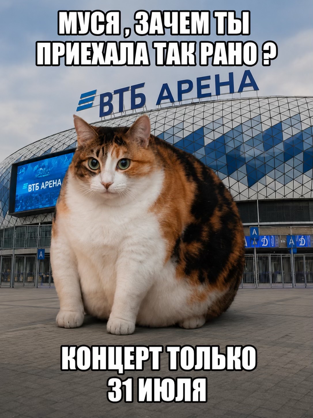 @Дима Билан