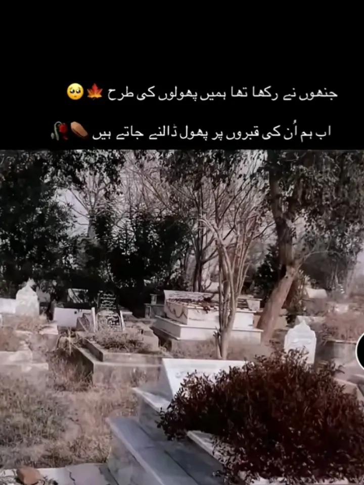 @🕊️⃝🅘𝐬ɭ֟αɱ֟ɪᴄ 𝐪𝐮𝐞ĕ̈n̆̈➳