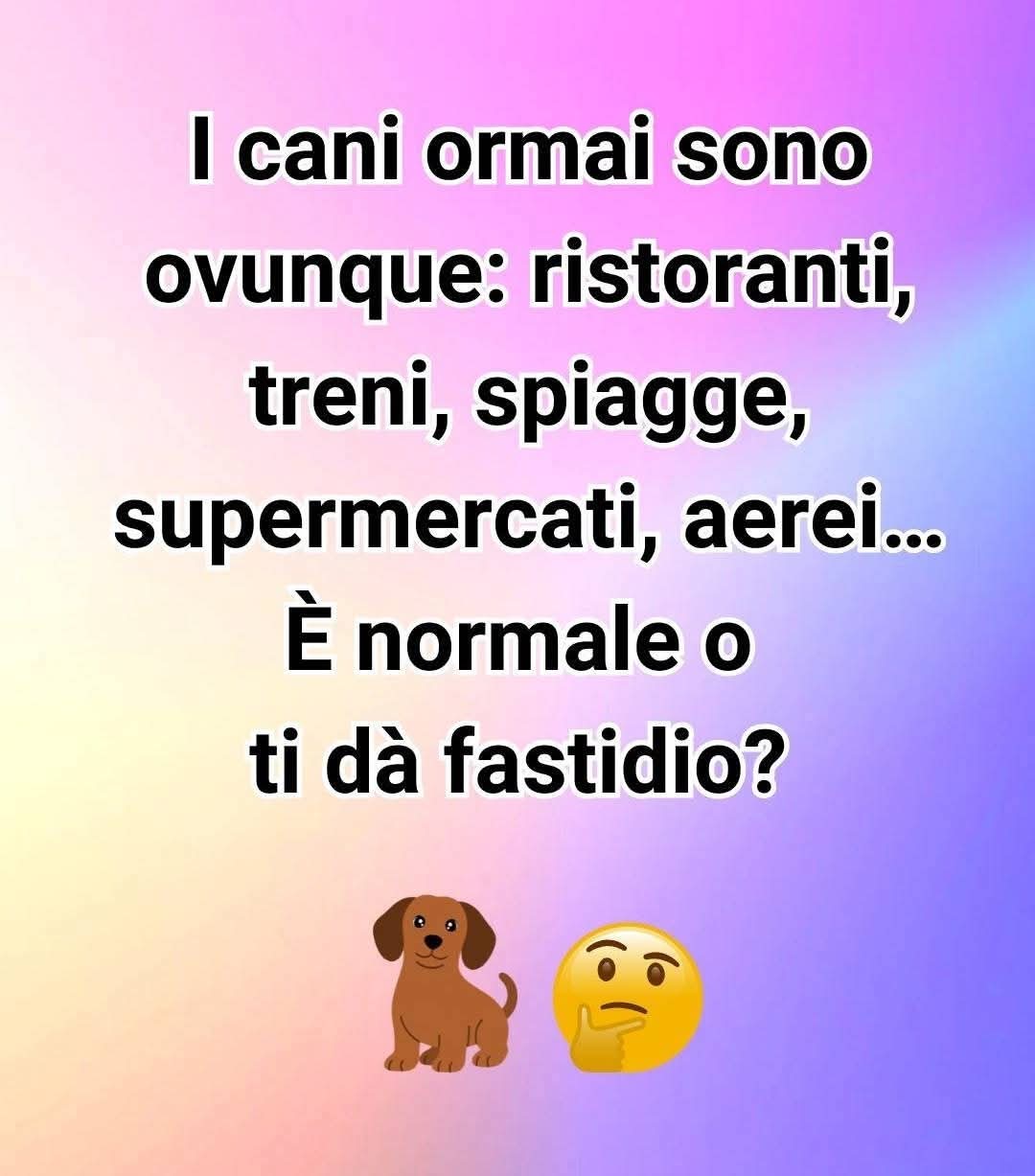 @enzo 🌈