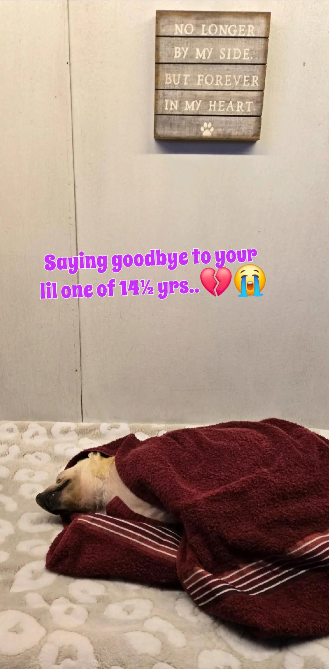 @Tor--744