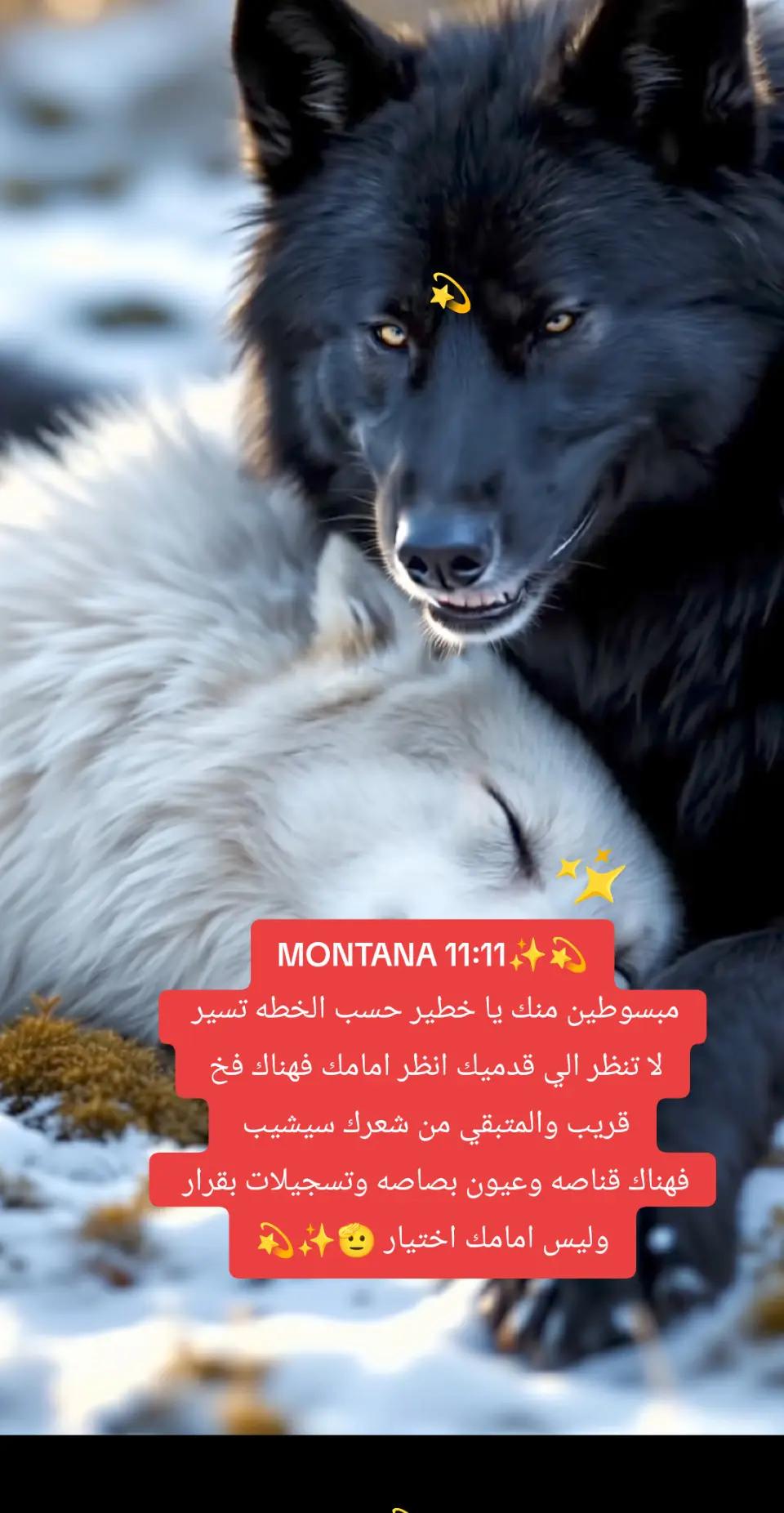@💫✨☄️ELTWAAFF☄️✨💫