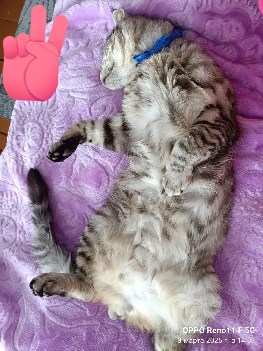 @Нарезки смешного 😎