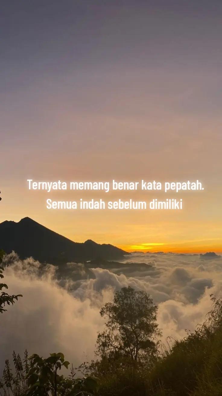 @Jingga