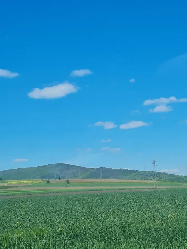@nevenanikodijevi6