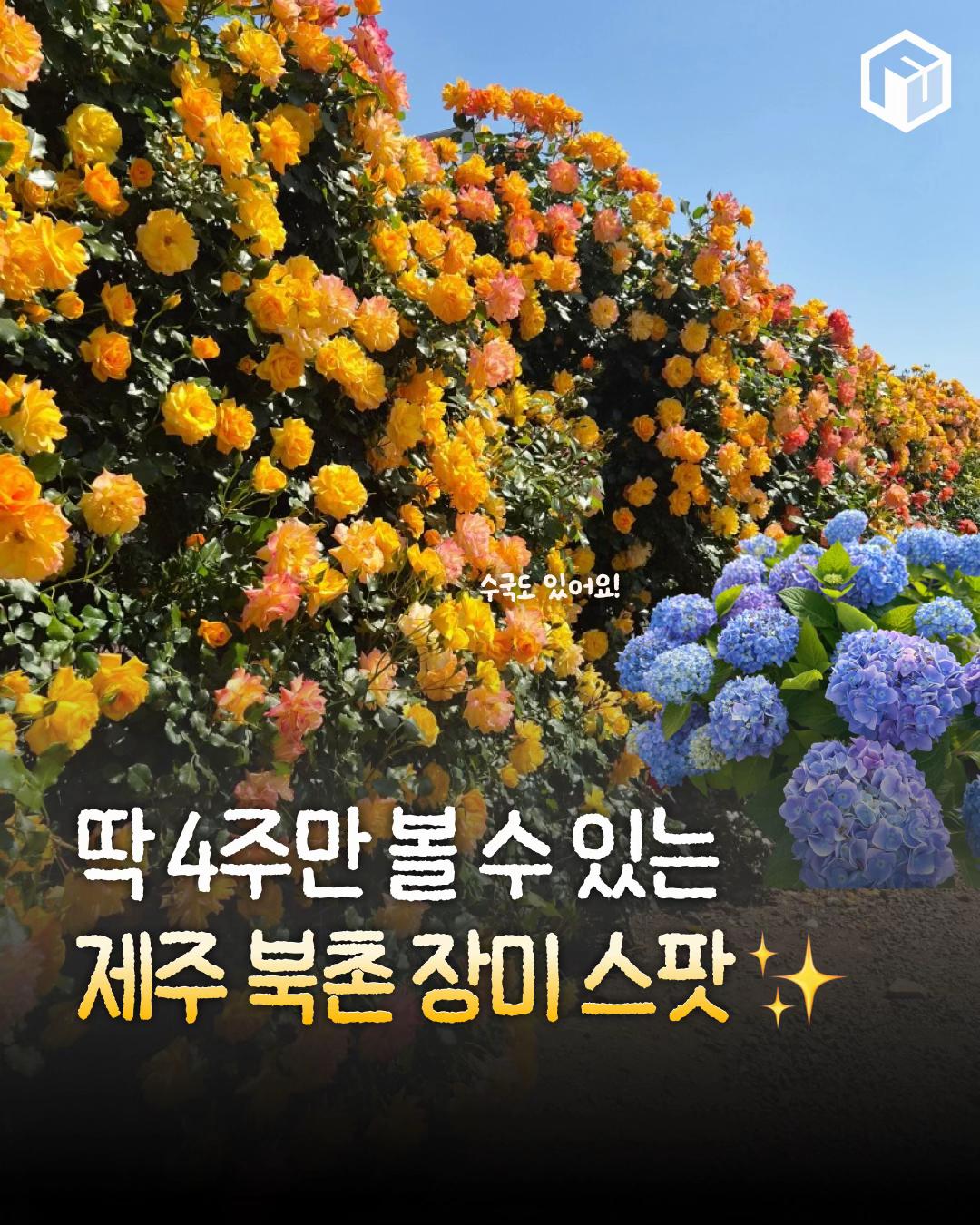 @제주톡톡