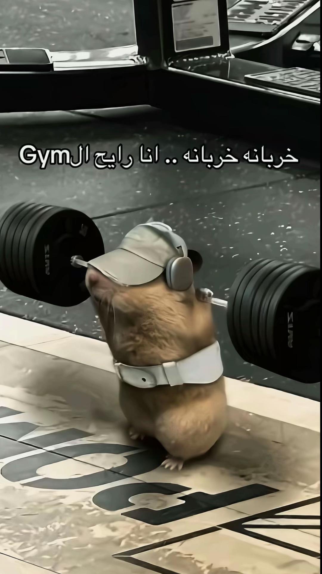 @س̲ن̲د̲🐺🤴🏻
