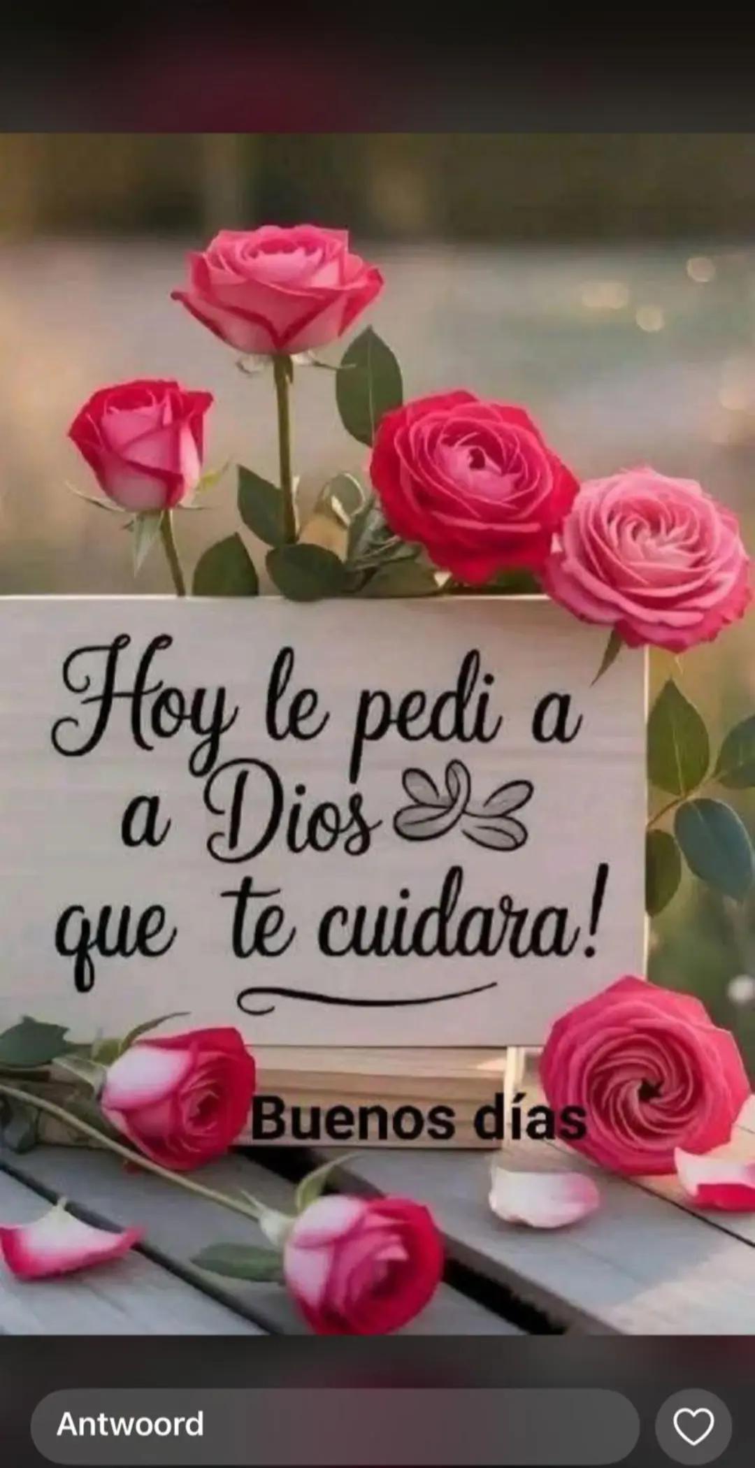 @Pedro A. Marrero