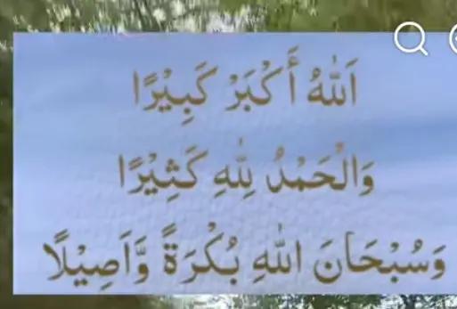 @Tariq jutt ❤️