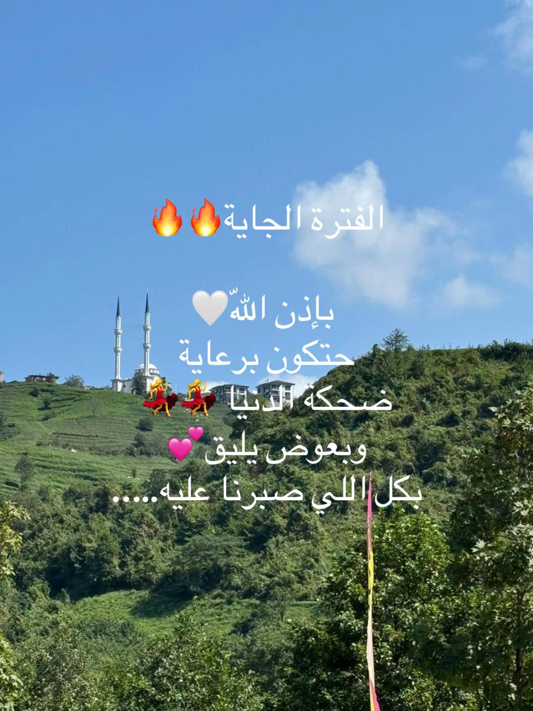@Dr Sara Hamed
