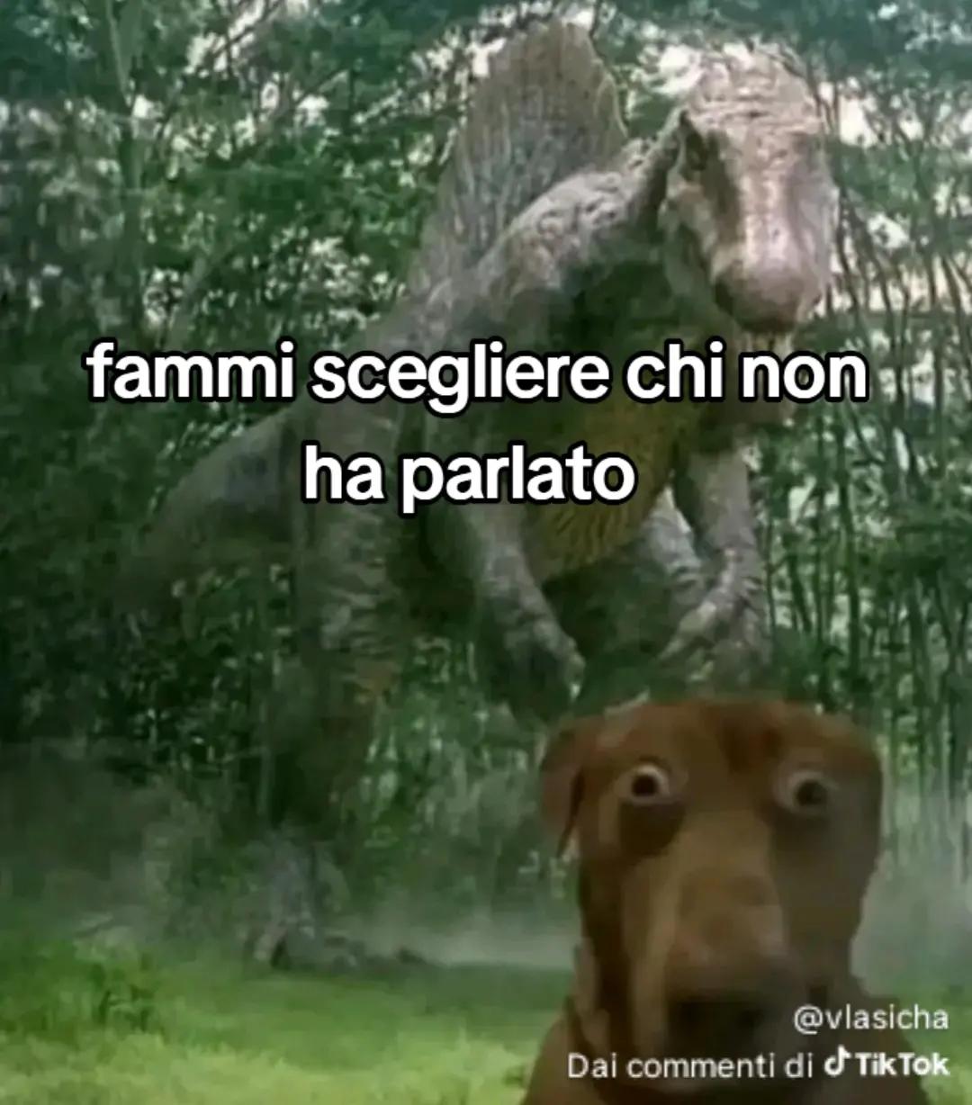 @🦖NOMI🚀