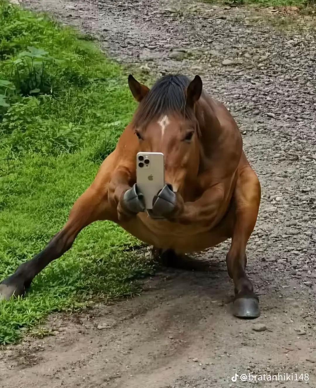 @๐