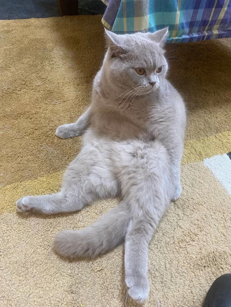 @Dr Rafael Roth 🌺🐈