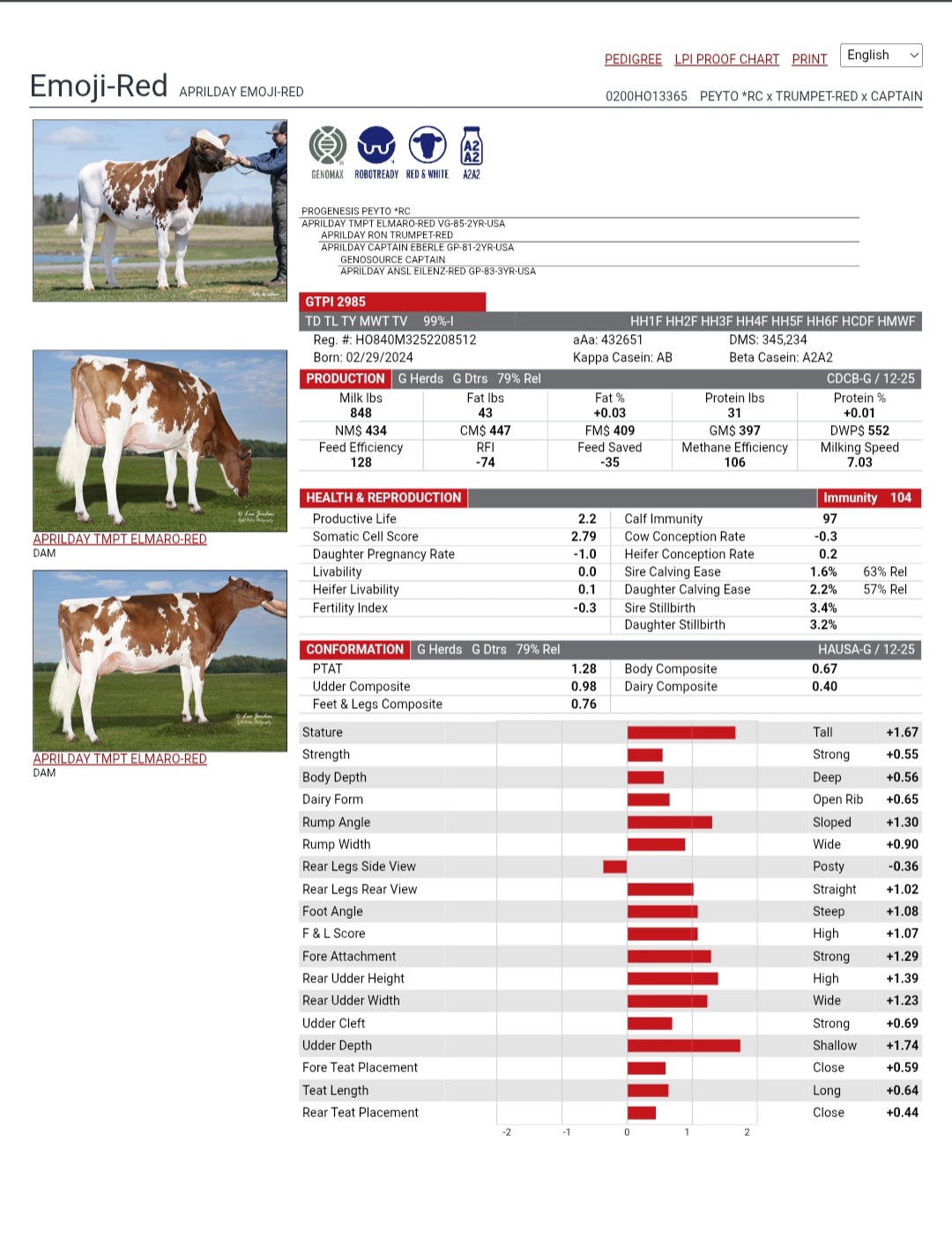 @SEMEX