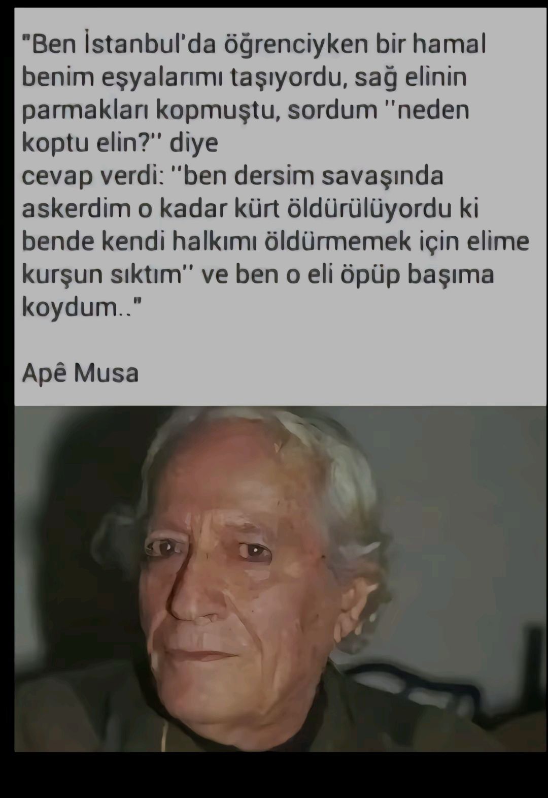 @🕊️