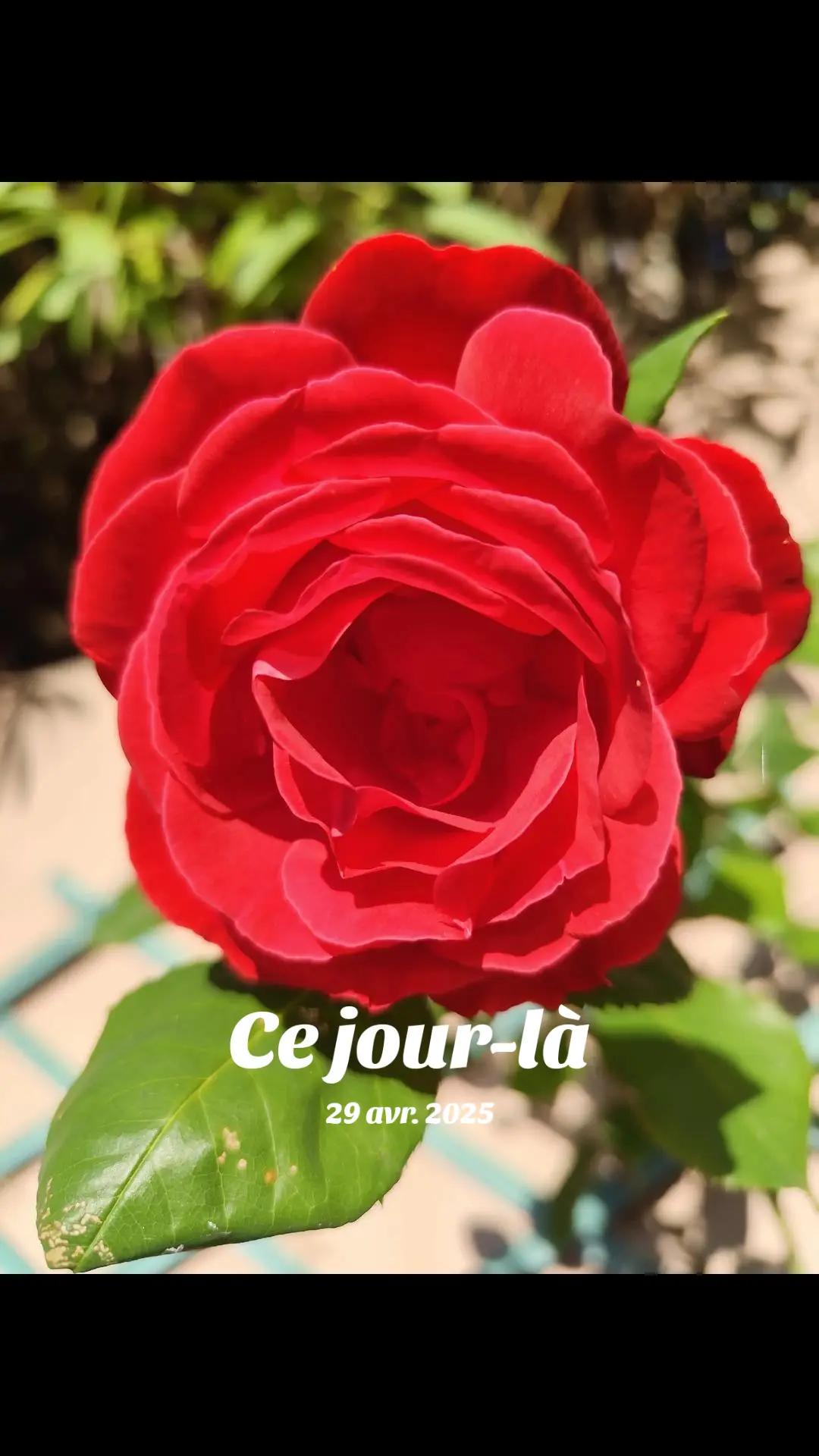 @Mag2provence