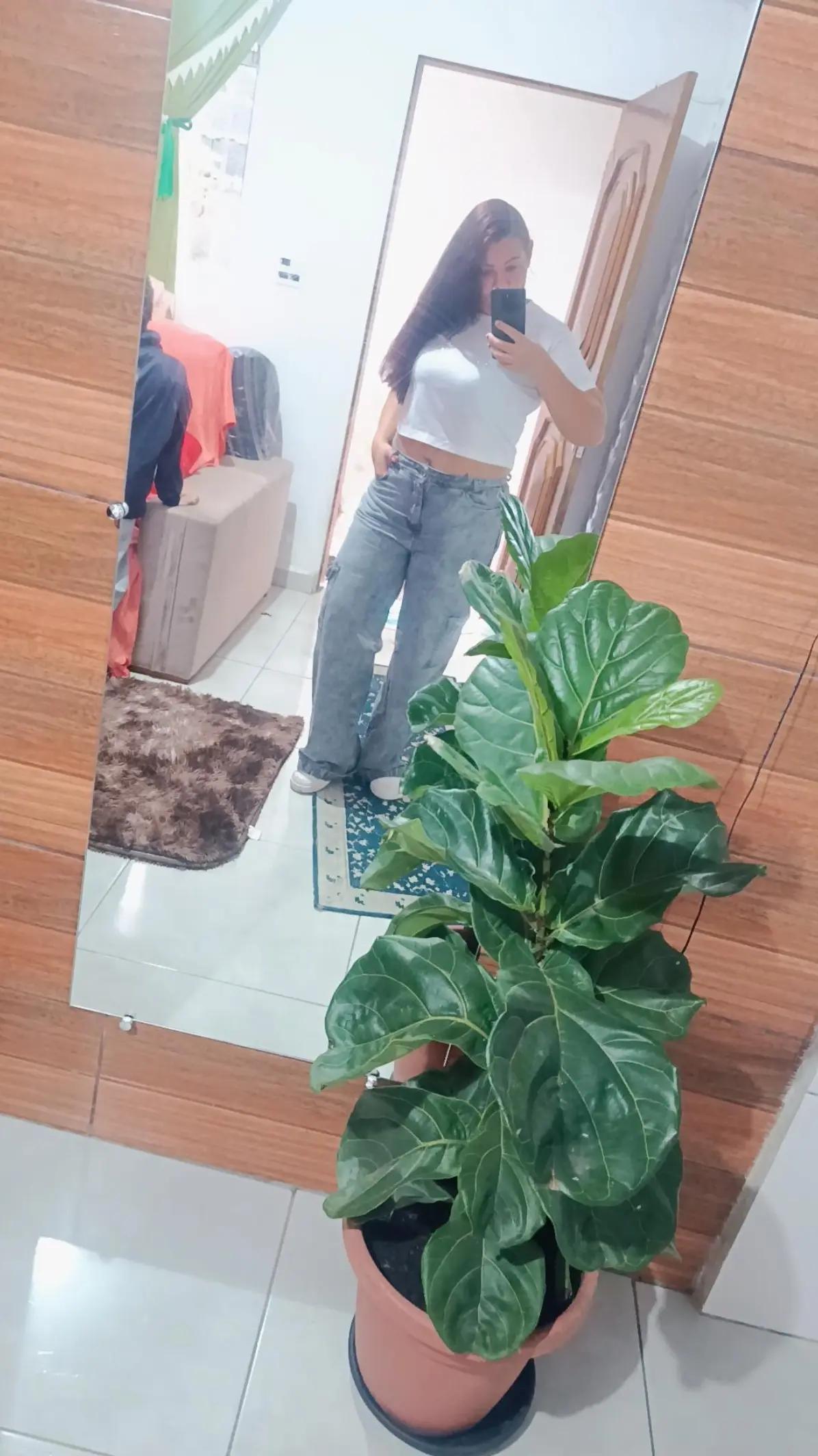 @keke