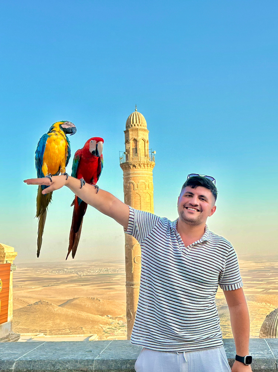 @Mehmet Emin Özgün