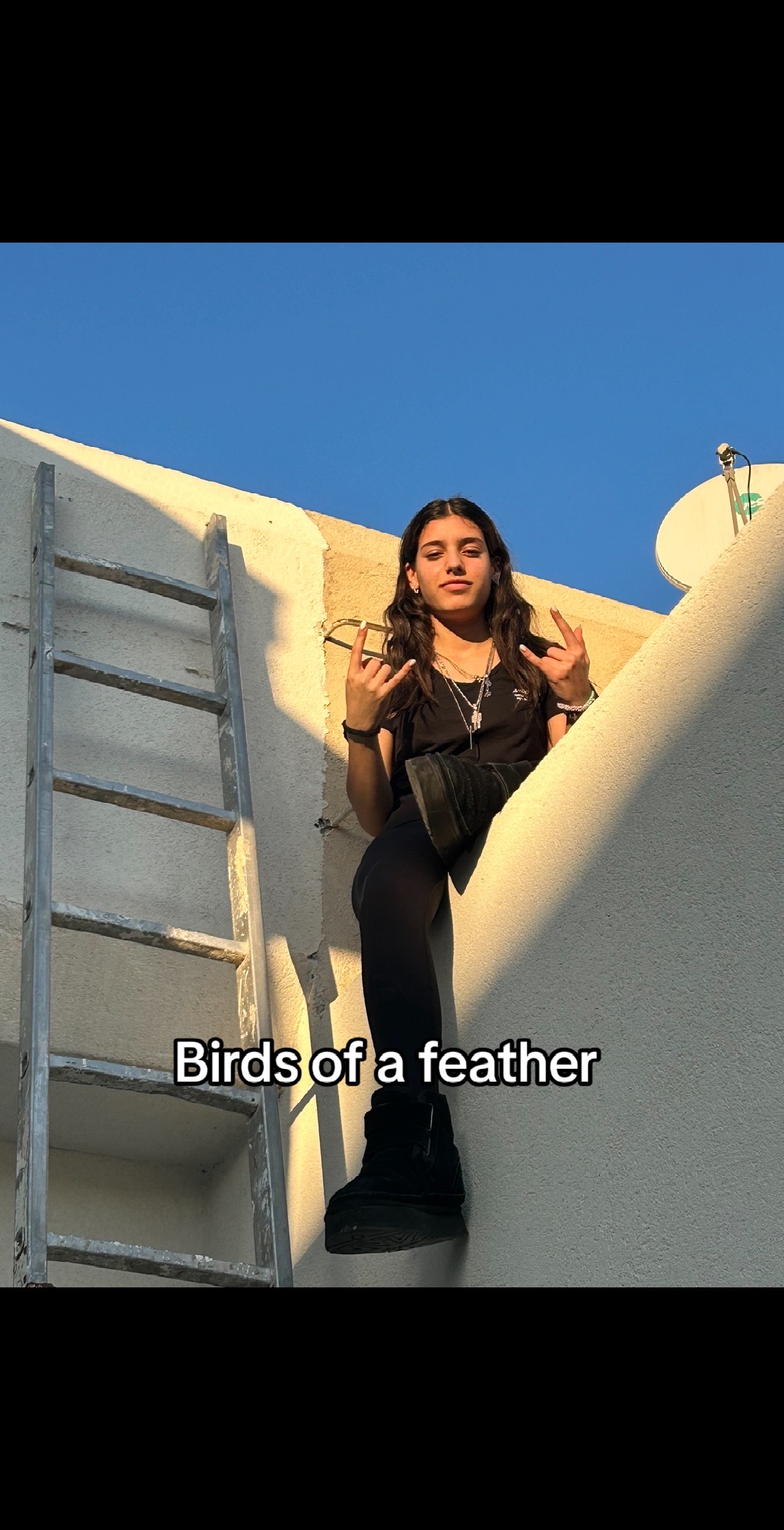 @Shira Levi