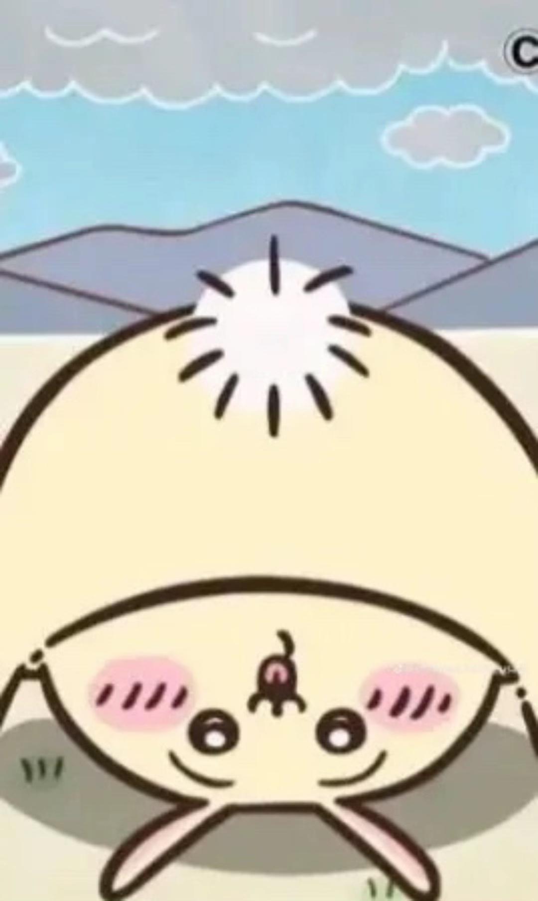 @ch33d0