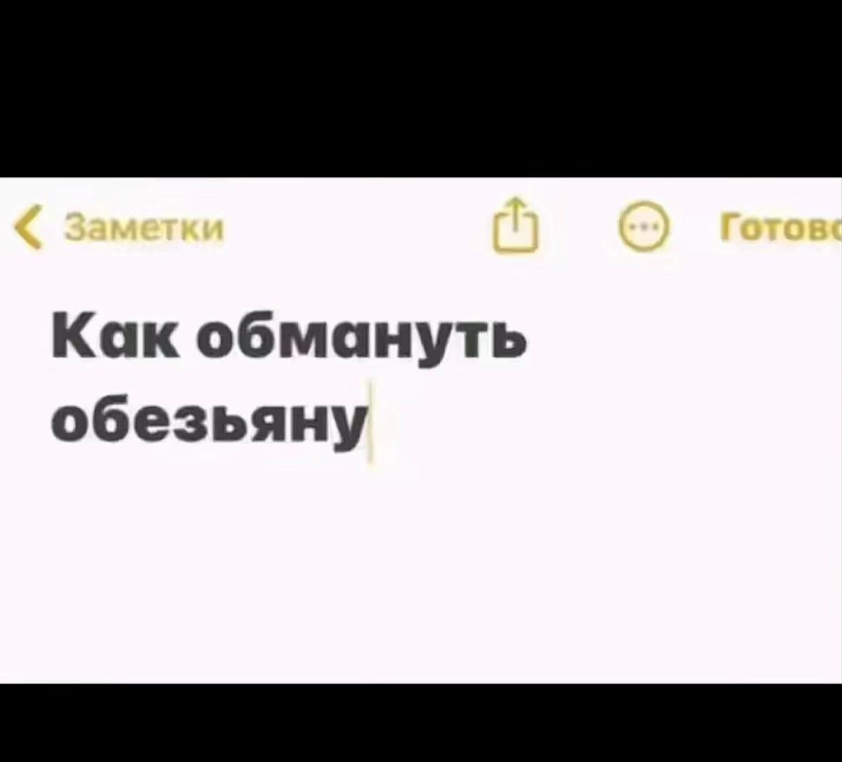 @Заяц💔
