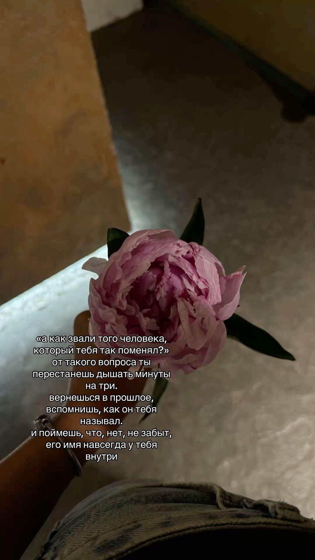 @𝓜