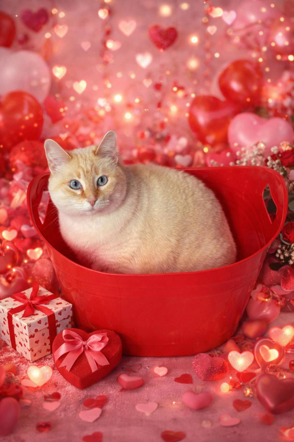 @𝑨𝐍𝐆𝐘