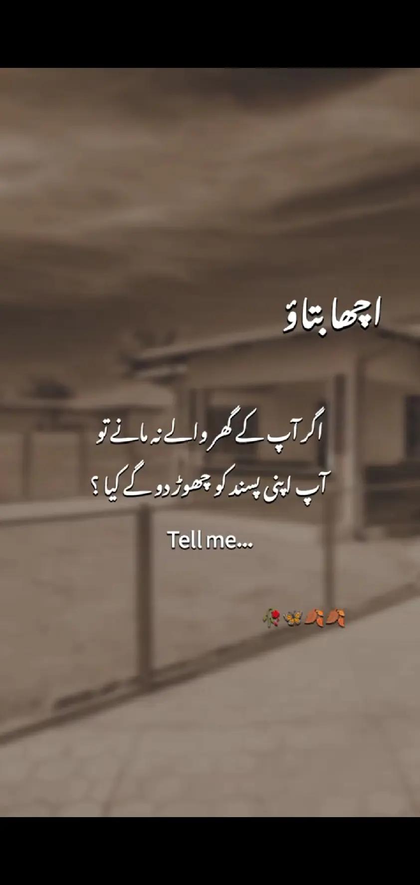 @🖤 بلا پٹھان 👑