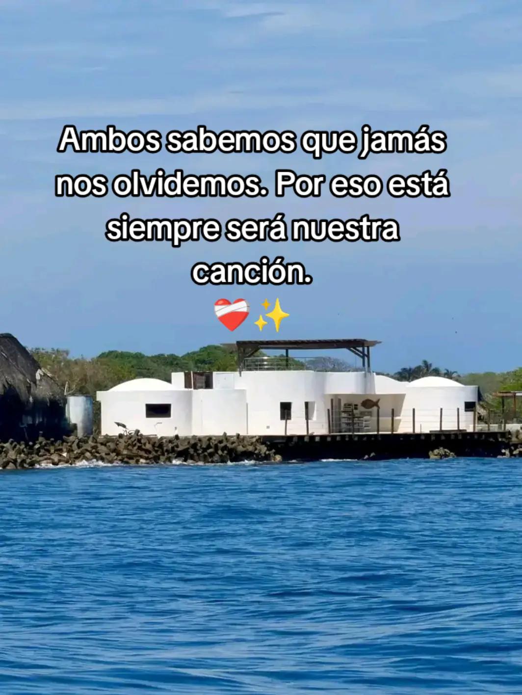 @✨️🌸Luz🌸✨️