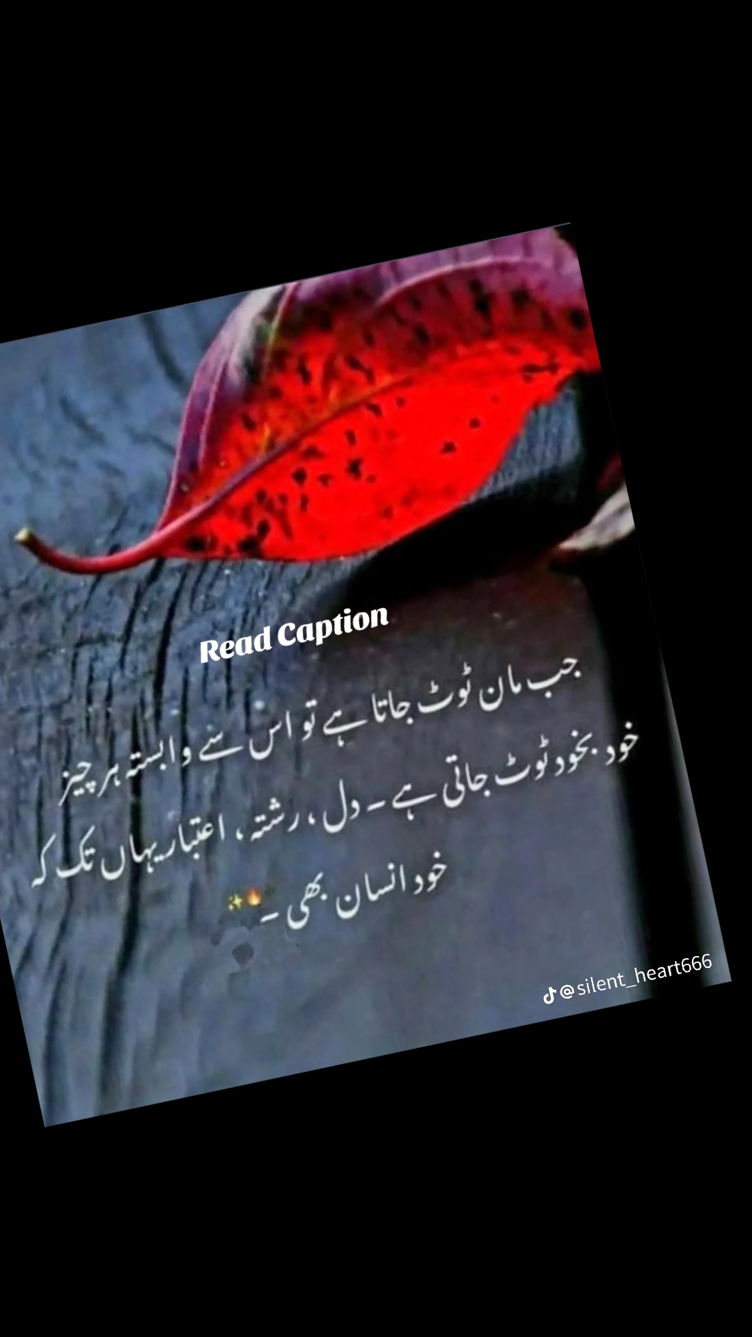 @Raheem Khan