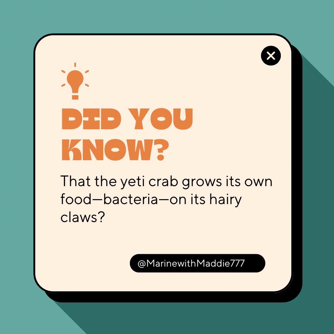 @Your Ocean BFF & Fun Facts🪼