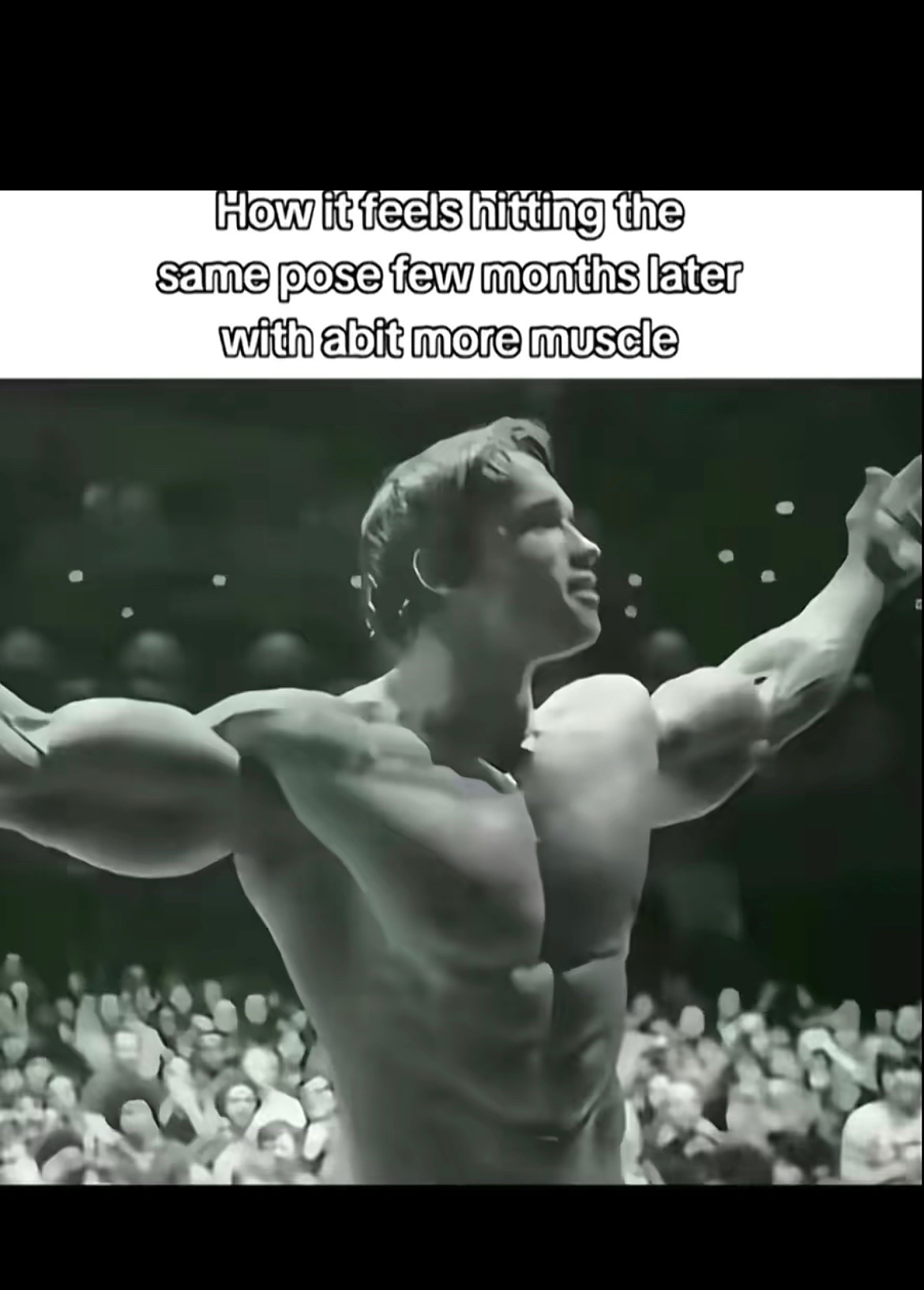 @mt