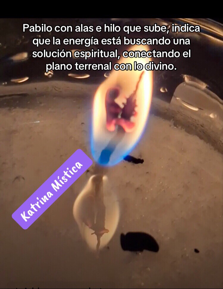 @katrina&bull;
