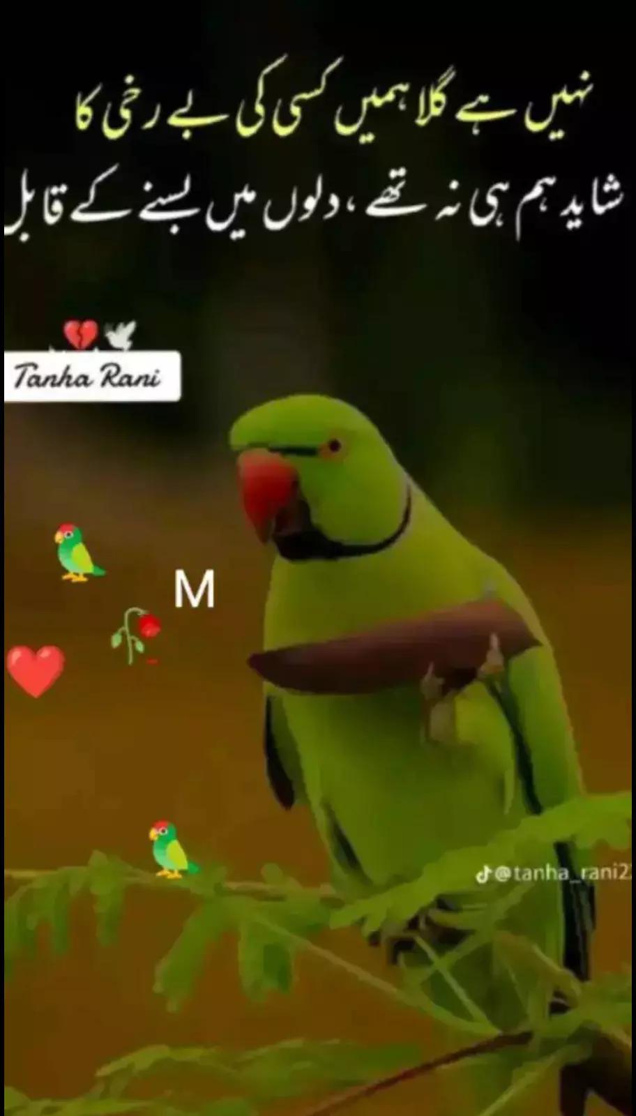 @🖤mehwish khan=🖤