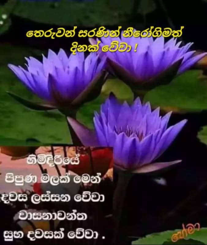 @prasanna