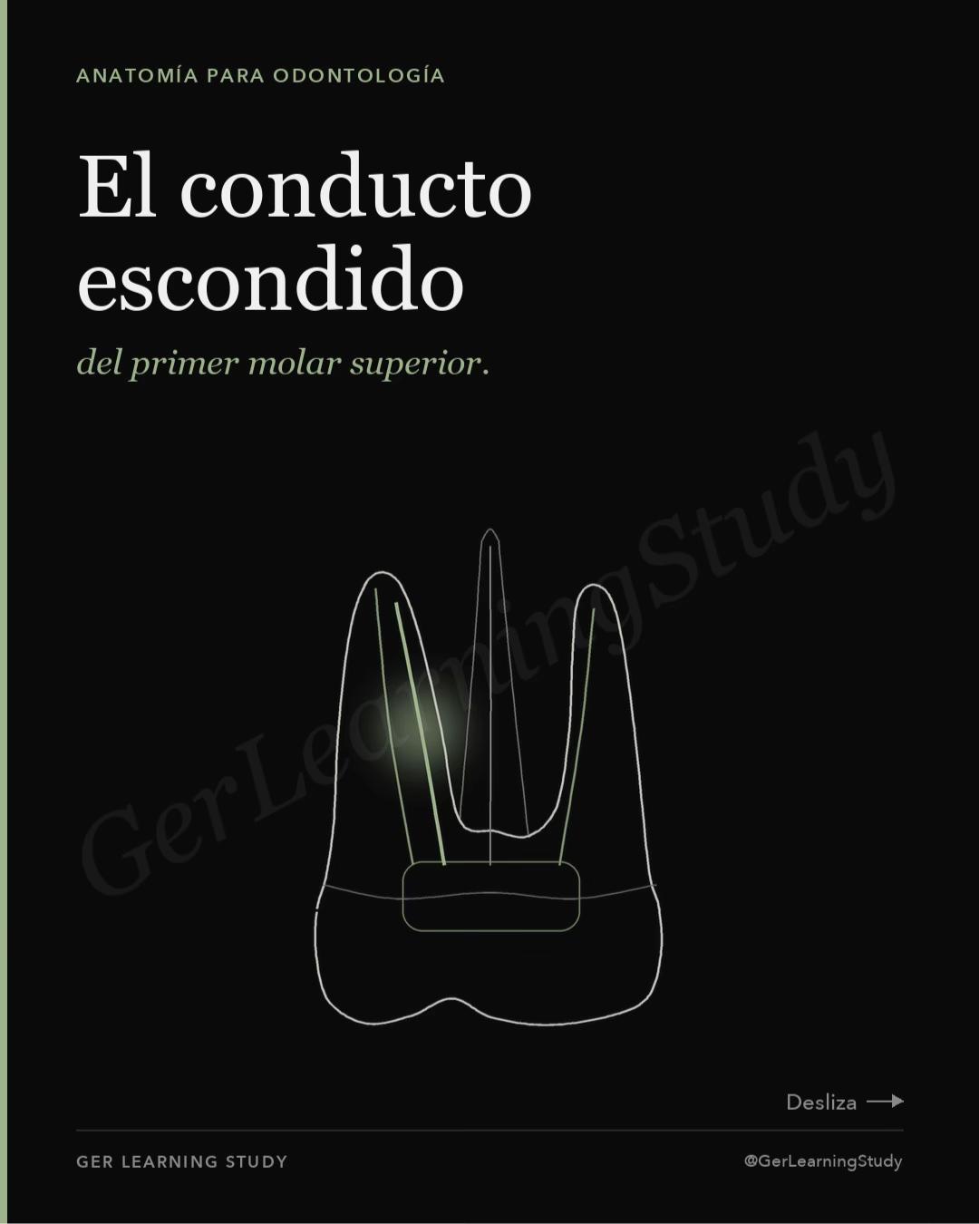 @GerLearningStudy