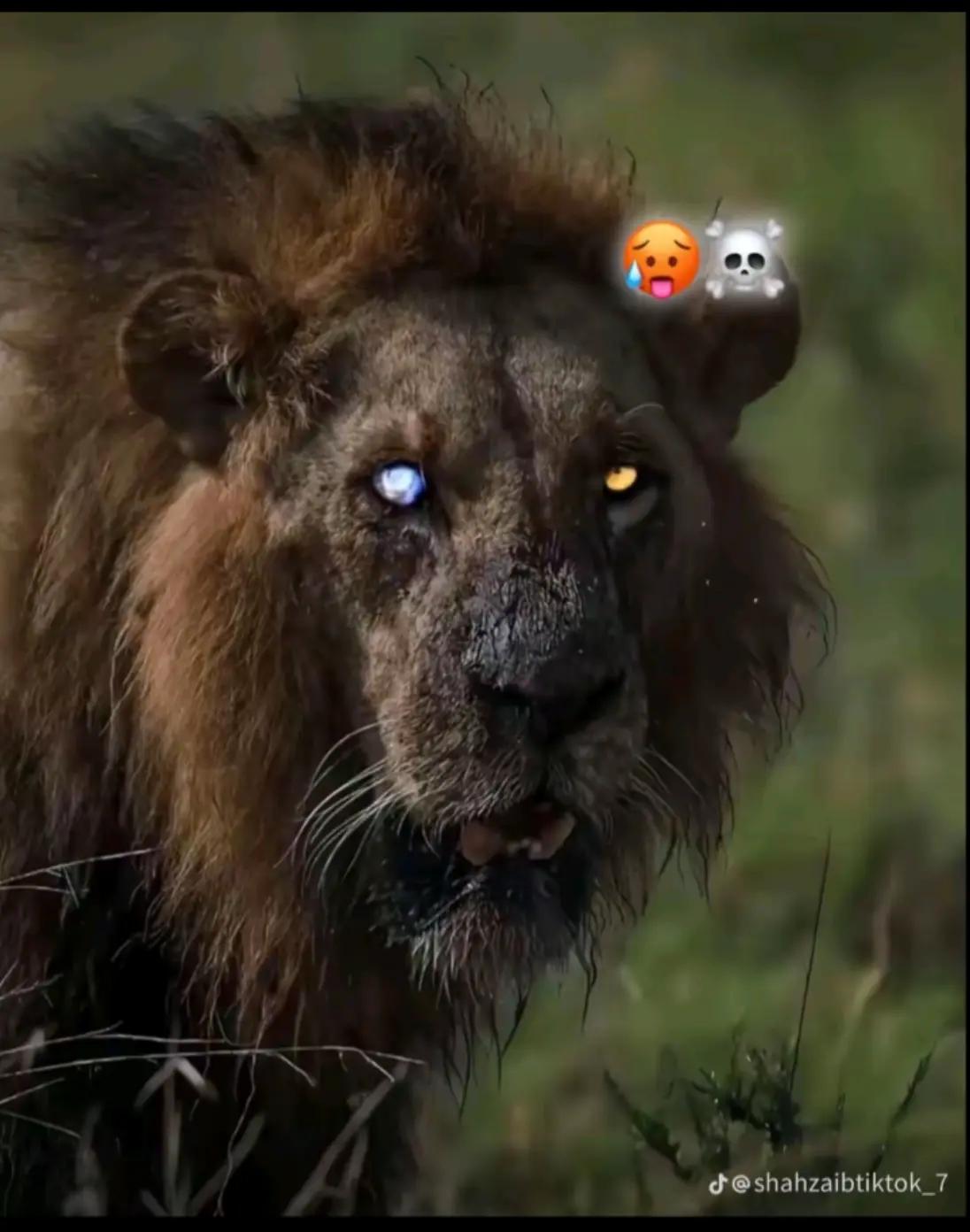 @ᴹᴿ〆Ꮯ么ᴘᴛ么ɪɴ