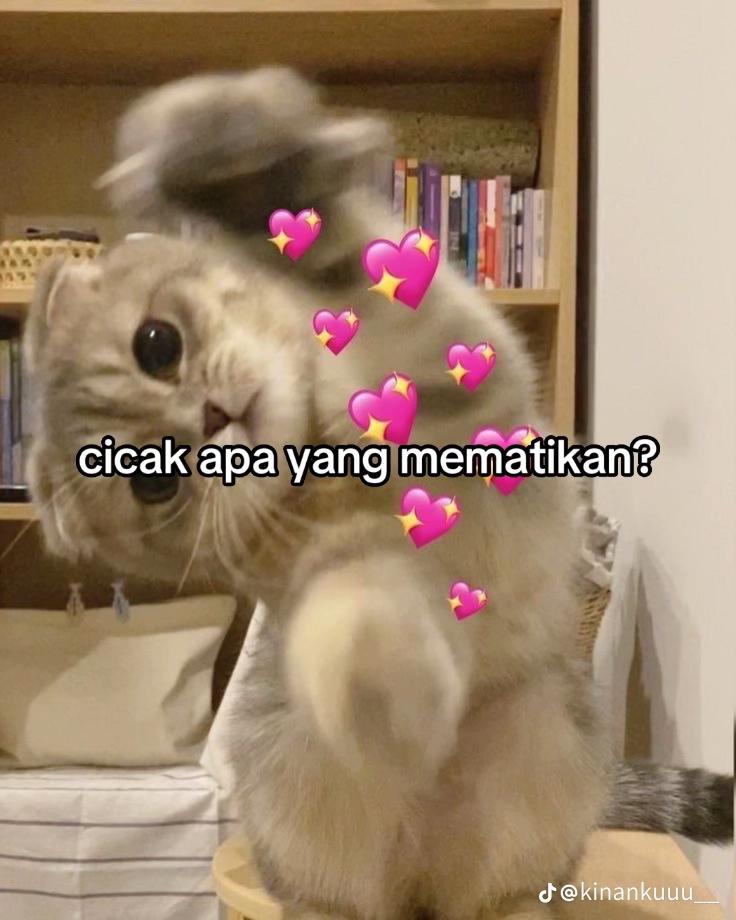@abiisiraaa✨