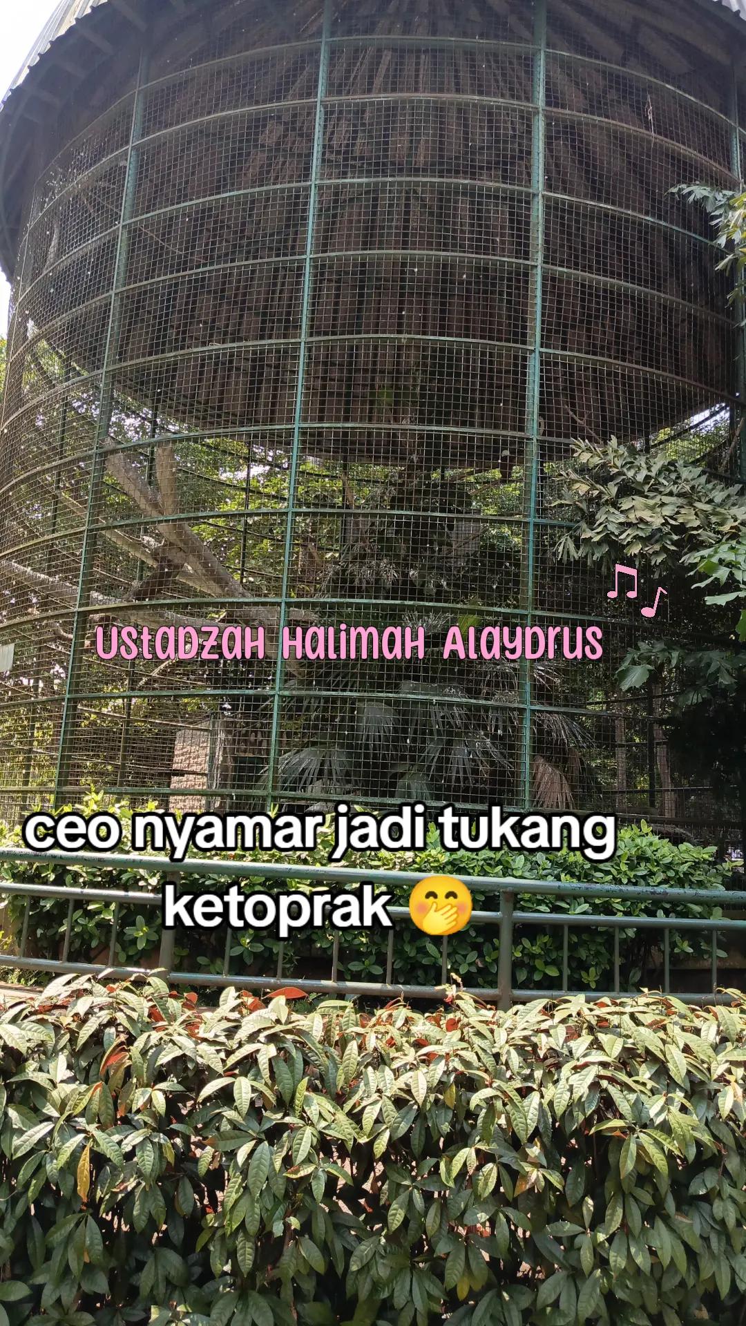 @🦚 Sahabat Akhwat 🦚