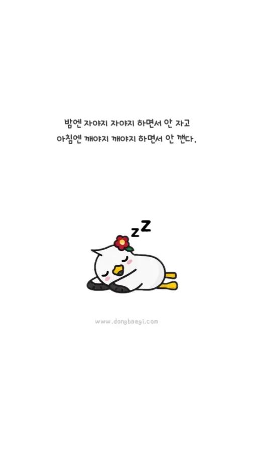 @동백이