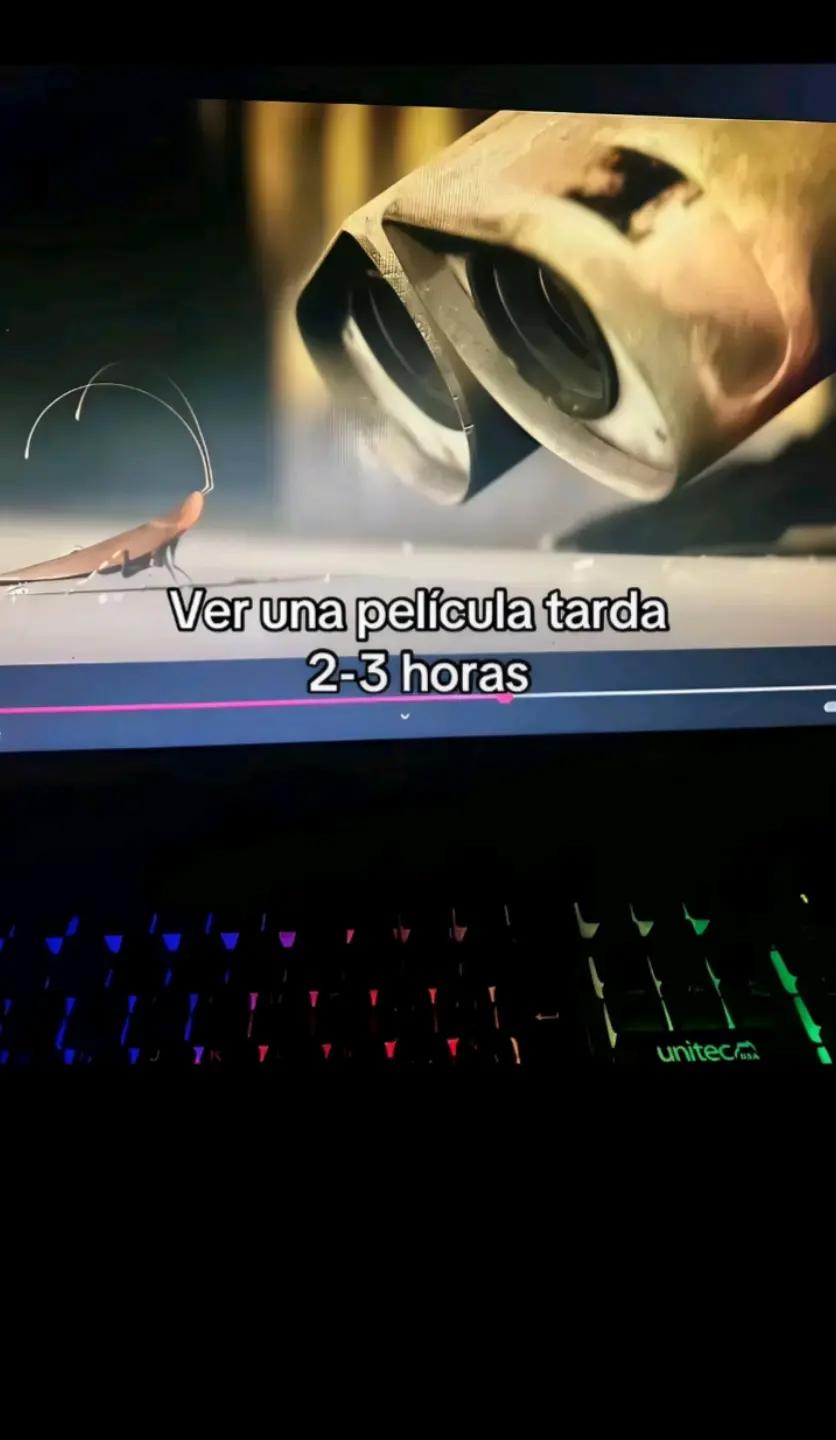 @stefannyozal0