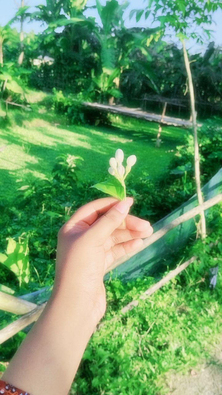 @ꫝ 𐙚˚♡&mdash;͞ʟɪᴢᥙ֟፝ᴜᴜ &iexcl;!🖤🕊️