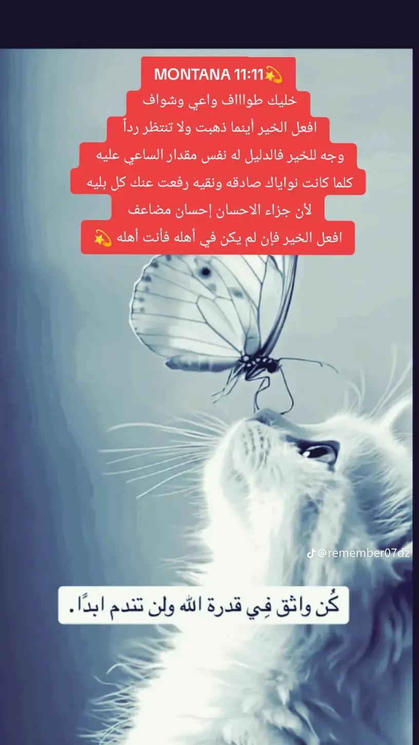@💫✨☄️ELTWAAFF☄️✨💫