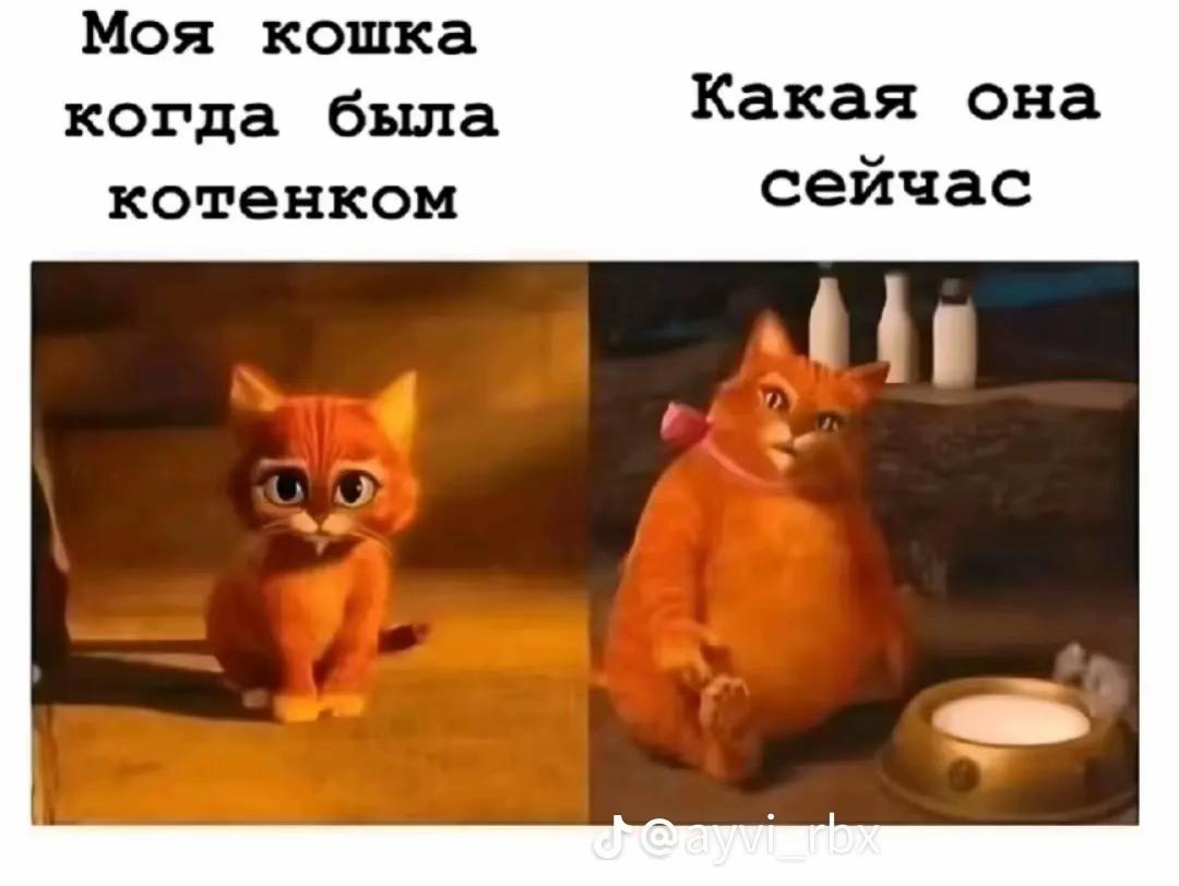 @притон